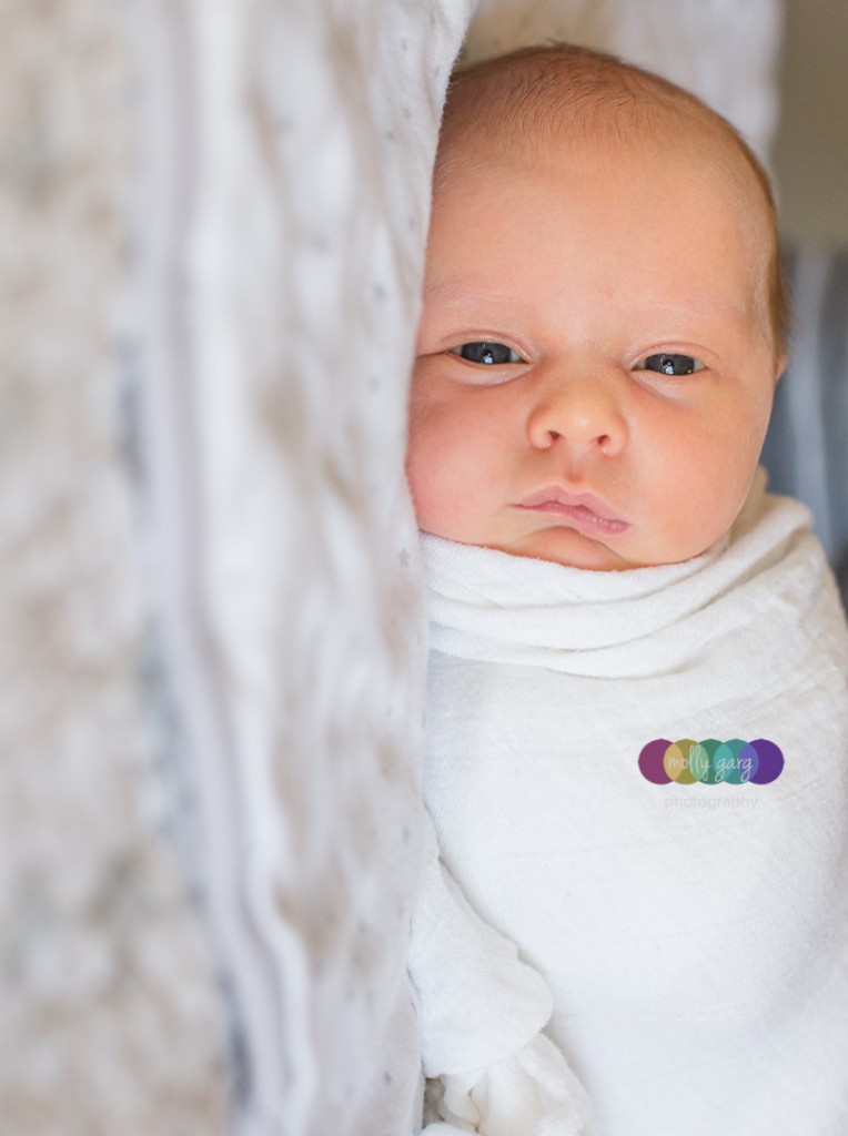 natural light newborn photography denver newborn photography