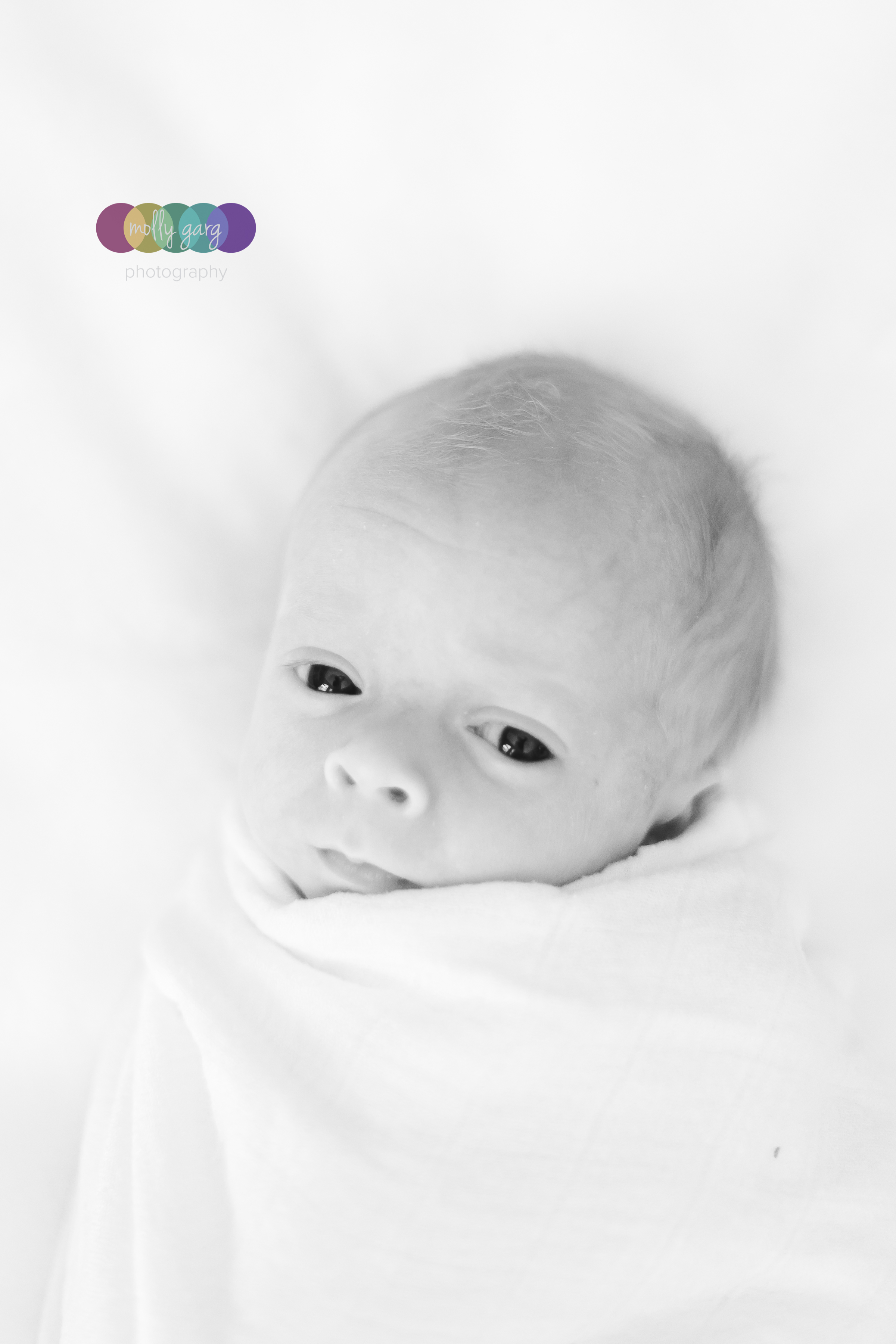 The Best Time To Schedule Your Newborn Session Molly Garg Photography