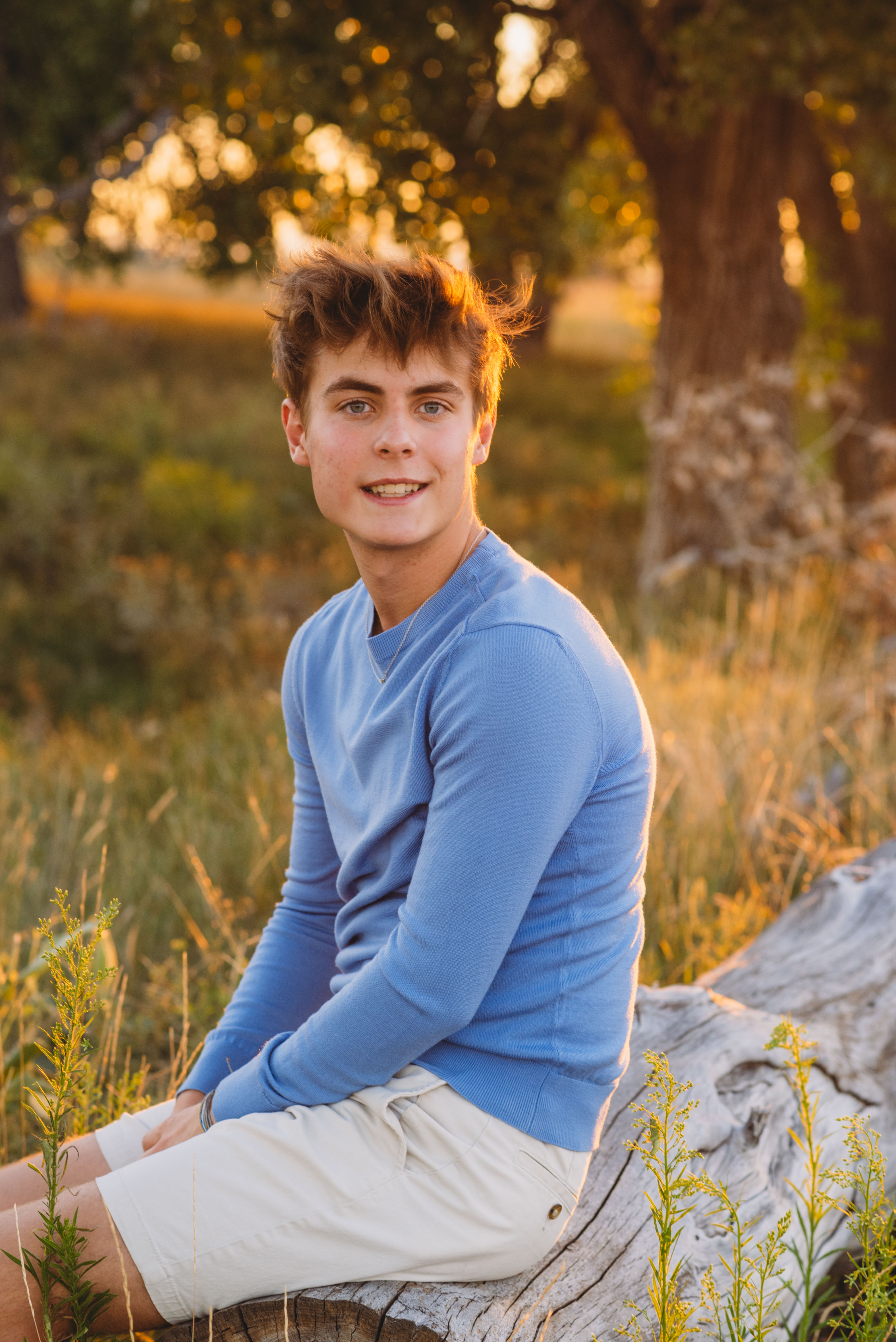 a senior boy sits on a log wearing a pale blue sweater