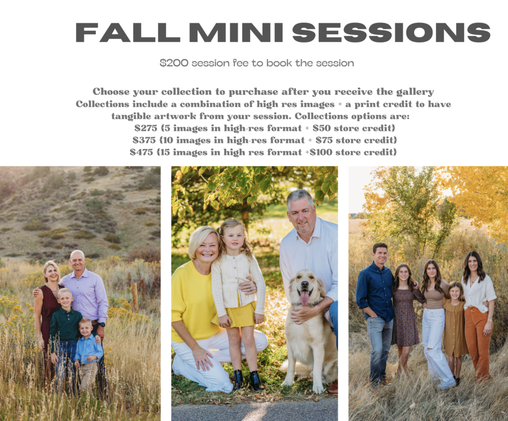 a graphic explaining the fall mini sessions 